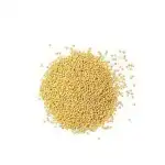 White Mustard Seeds